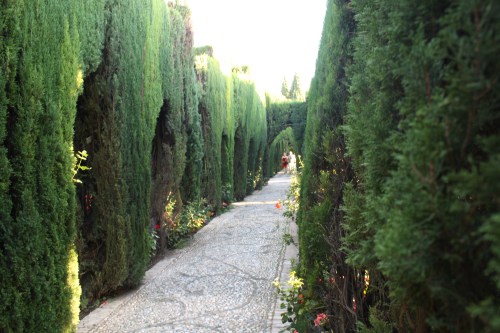 General Life, Alhambra