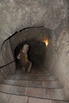 IMG_3503