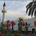 Marbella Mosque, Spain